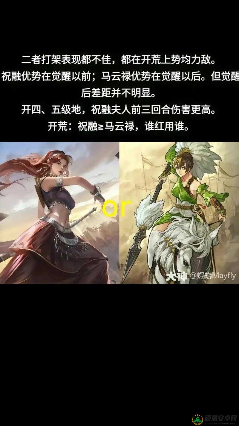 率土之滨游戏深度解析，武将大全及最强组合搭配详情